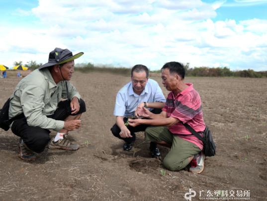2016年10月，周奕丰在柬埔寨调研土壤情况。.png